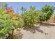 Backyard showcasing mature landscaping with desert plants, trees, and rock ground cover at 9196 E Evans Dr, Scottsdale, AZ 85260