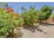 The backyard features low maintenance landscaping and mature trees at 9196 E Evans Dr, Scottsdale, AZ 85260