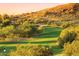 Scenic golf course view at sunset featuring lush green fairway, trees, and hillside terrain at 9649 S 51 St St, Phoenix, AZ 85044