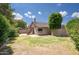 Large backyard with mature trees, lush grass, and a covered patio, perfect for outdoor activities at 1117 W Manor St, Chandler, AZ 85224