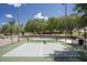 Outdoor pickleball court with new equipment, fencing, and surrounding greenery in a community setting at 1117 W Manor St, Chandler, AZ 85224