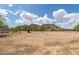Open desert landscape featuring native trees and shrubs, with majestic mountain views under a partially cloudy sky at 11912 N Thunderbird Rd, Maricopa, AZ 85139