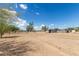 Vast desert land with mature trees and outbuildings scattered across, under a bright, partly cloudy sky at 11912 N Thunderbird Rd, Maricopa, AZ 85139