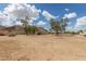 Expansive lot showcasing desert landscape, mature trees, and distant mountain views under a bright, cloudy sky at 11912 N Thunderbird Rd, Maricopa, AZ 85139