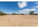 Expansive desert land with scattered trees and a single-story home visible in the distance, under a clear sky at 11912 N Thunderbird Rd, Maricopa, AZ 85139