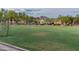 Beautiful grassy neighborhood with tree-lined streets and views of nearby mountains at 17728 N 92Nd Pl, Scottsdale, AZ 85255