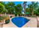 Backyard pool features clear blue water, mature trees, and desert landscaping at 21353 S 185Th Way, Queen Creek, AZ 85142