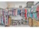 Walk-in closet with many racks, shelves, and boxes of storage at 22927 E Via Del Oro --, Queen Creek, AZ 85142