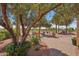 Serene backyard with a well-manicured landscape and mature trees, creating a private oasis at 23225 N Hank Raymond Dr, Sun City West, AZ 85375