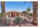 Lush backyard with mature palm trees, desert landscaping, and a covered patio, creating a tranquil retreat at 23225 N Hank Raymond Dr, Sun City West, AZ 85375