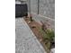 Charming backyard featuring gravel and lovely flowering plants at 2364 N 212Th Ave, Buckeye, AZ 85396