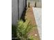 Beautiful backyard with charming landscape featuring plants and gravel at 2364 N 212Th Ave, Buckeye, AZ 85396