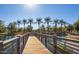 Picturesque walkway over water, lined with palm trees, in a serene community setting at 2636 S Bahama Dr, Gilbert, AZ 85295