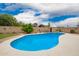 Backyard view with a well-maintained pool, lush landscaping, and privacy fencing at 3010 E Cortez St, Phoenix, AZ 85028