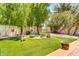 Lush backyard with green grass, desert landscaping, and a privacy fence, creating a relaxing outdoor space at 3027 N Nebraska St, Chandler, AZ 85225