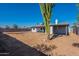 Expansive backyard featuring a tall Saguaro cactus and block wall, perfect for outdoor enjoyment at 3118 S Los Altos Dr, Mesa, AZ 85202