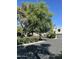 A pleasant street scene showcases attractive landscaping and mature trees, contributing to the community's appeal at 618 E Manzanita Pl, Phoenix, AZ 85020