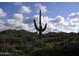 Scenic desert community view featuring a tall saguaro cactus and mountain backdrop at 6917 E Night Glow Cir, Scottsdale, AZ 85266