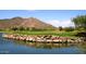 Picturesque golf course with water feature and mountain views in community at 6917 E Night Glow Cir, Scottsdale, AZ 85266