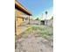 Large, grassy backyard with fenced perimeter, shade structures and space for activities and relaxation at 7940 W Avalon Dr, Phoenix, AZ 85033