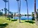 Serene lake view framed by swaying palm trees and lush greenery, perfect for lakeside living at 869 W Shellfish Dr, Gilbert, AZ 85233