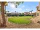 Well-maintained backyard featuring a lush lawn and mature trees offering ample shade at 9121 E Karen Dr, Scottsdale, AZ 85260