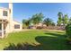 Lush backyard with a spacious lawn area, mature trees, and privacy fence at 9121 E Karen Dr, Scottsdale, AZ 85260