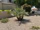Entrance to Laguna Shores is marked by a sign with landscaping and desert foliage at 1121 W Windjammer Dr, Gilbert, AZ 85233
