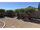 Backyard with decorative rock and flowering shrubs at 11921 W Madison St, Avondale, AZ 85323
