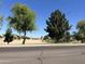 Street view of a neighborhood with desert landscaping and mature trees under a blue sky at 11921 W Madison St, Avondale, AZ 85323