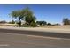 Street view of a golf course neighborhood with desert landscaping and mature trees at 11921 W Madison St, Avondale, AZ 85323