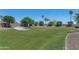 Lush backyard featuring a large grassy area with trees and manicured landscaping at 1255 N Arizona Ave # 1251, Chandler, AZ 85225