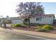 Charming single-story home featuring a well-manicured front yard and a flowering tree for added curb appeal at 1894 E Julie Dr, Tempe, AZ 85283