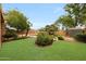Landscaped backyard featuring lush grass, a pool, mature trees, and a storage shed, perfect for outdoor enjoyment at 2229 S 82Nd Ln, Phoenix, AZ 85043