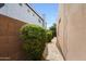 Side yard with walkway and manicured bushes between properties at 2229 S 82Nd Ln, Phoenix, AZ 85043