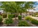 Manicured front yard showcasing lush greenery, flowering bushes, and mature shade trees at 22660 N 122Nd Ave, Sun City, AZ 85373