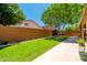 Lush backyard with green lawn, a tree, and block fence, perfect for privacy and outdoor activities at 3511 W Allens Peak Dr, San Tan Valley, AZ 85144
