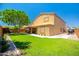 Expansive backyard featuring lush green grass, mature trees, and a covered patio area at 3511 W Allens Peak Dr, San Tan Valley, AZ 85144
