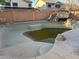 Backyard swimming pool featuring a water slide, offering fun and entertainment at 38242 N Armadillo Dr, San Tan Valley, AZ 85140