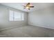 Well-lit bedroom featuring a window with blinds, carpet, and neutral walls at 41279 W Elm Dr, Maricopa, AZ 85138