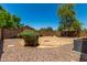 Picture of a spacious backyard featuring a mature tree and a well-maintained perimeter fence at 42458 W Desert Fairways Dr, Maricopa, AZ 85138