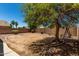 Expansive backyard with mature tree offering plenty of shade at 42458 W Desert Fairways Dr, Maricopa, AZ 85138