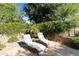 Relaxing poolside with two chaise lounge chairs and mature privacy landscaping perfect for an afternoon in the sun at 4548 E Nightingale Ln, Gilbert, AZ 85298