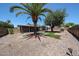 Expansive backyard with mature trees, a covered patio, and low-maintenance desert landscaping at 6449 E Ellis St, Mesa, AZ 85205