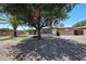 Single-story brick home with desert landscaping and mature trees, offering shade and curb appeal at 6449 E Ellis St, Mesa, AZ 85205