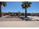 Charming single-story brick home featuring desert landscaping and mature palm trees for added curb appeal at 6449 E Ellis St, Mesa, AZ 85205