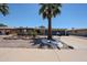 Inviting single-story home boasts mature palm trees, low-maintenance desert landscaping, and a tidy front yard at 6449 E Ellis St, Mesa, AZ 85205