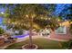 Evening backyard with a lighted tree, pool, fire pit, and outdoor kitchen at 10440 W Swayback Pass, Peoria, AZ 85383