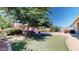 Serene backyard features a mature tree, artificial turf, fire pit and a inviting pool at 10440 W Swayback Pass, Peoria, AZ 85383