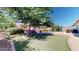 Lush backyard with mature trees and a beautiful pool with a convenient bar area at 10440 W Swayback Pass, Peoria, AZ 85383